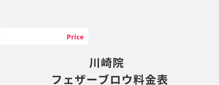 フェザーブロー川崎院料金表