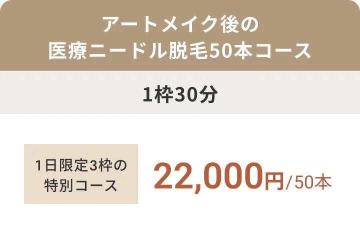 アートメイク後の医療ニードル脱毛50本コース 1枠30分 1日限定3枠の特別コース 22,000円/50本